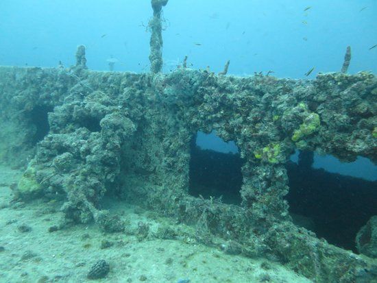 Thunderbolt Wreck Dive Site